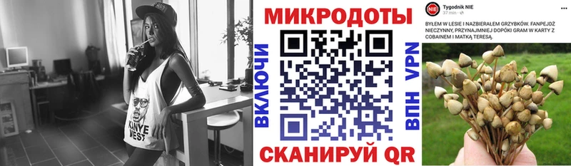 Галлюциногенные грибы мицелий  omg как войти  Рязань 